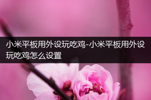 小米平板用外设玩吃鸡-小米平板用外设玩吃鸡怎么设置