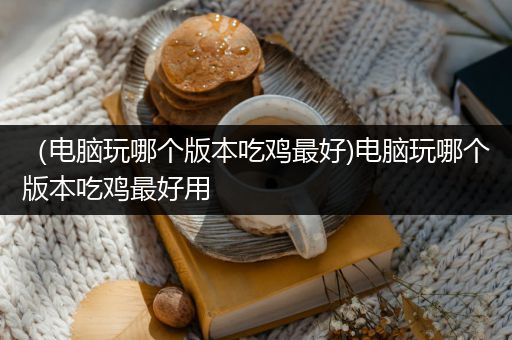 （电脑玩哪个版本吃鸡最好)电脑玩哪个版本吃鸡最好用