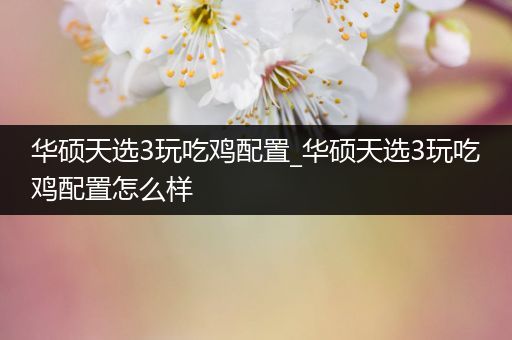华硕天选3玩吃鸡配置_华硕天选3玩吃鸡配置怎么样