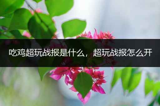 吃鸡超玩战报是什么，超玩战报怎么开