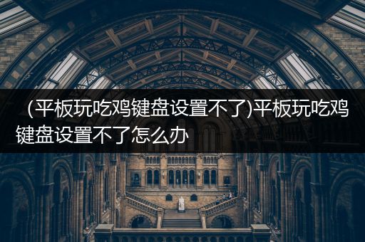 （平板玩吃鸡键盘设置不了)平板玩吃鸡键盘设置不了怎么办