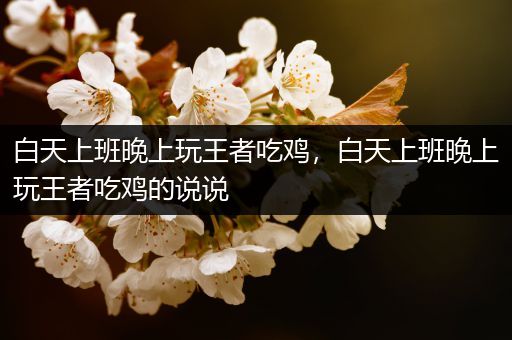 白天上班晚上玩王者吃鸡，白天上班晚上玩王者吃鸡的说说