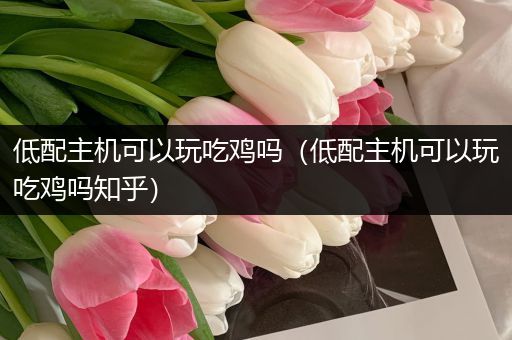 低配主机可以玩吃鸡吗（低配主机可以玩吃鸡吗知乎）