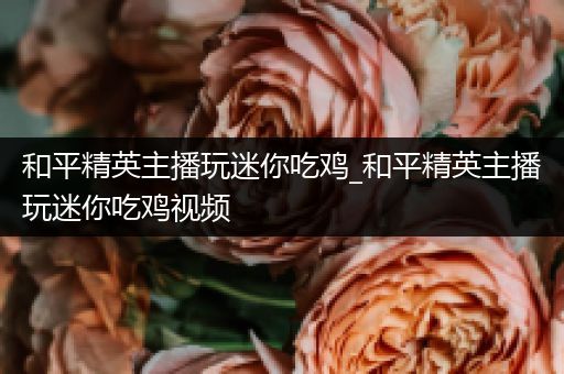 和平精英主播玩迷你吃鸡_和平精英主播玩迷你吃鸡视频