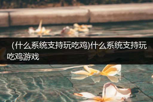 （什么系统支持玩吃鸡)什么系统支持玩吃鸡游戏