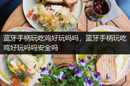 蓝牙手柄玩吃鸡好玩吗吗，蓝牙手柄玩吃鸡好玩吗吗安全吗