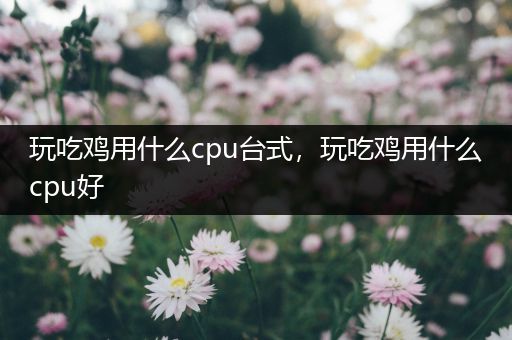 玩吃鸡用什么cpu台式，玩吃鸡用什么cpu好