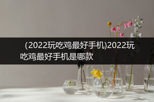 （2022玩吃鸡最好手机)2022玩吃鸡最好手机是哪款