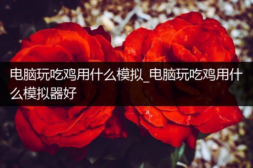电脑玩吃鸡用什么模拟_电脑玩吃鸡用什么模拟器好