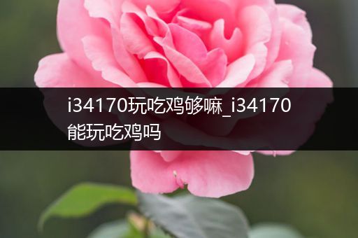 i34170玩吃鸡够嘛_i34170能玩吃鸡吗