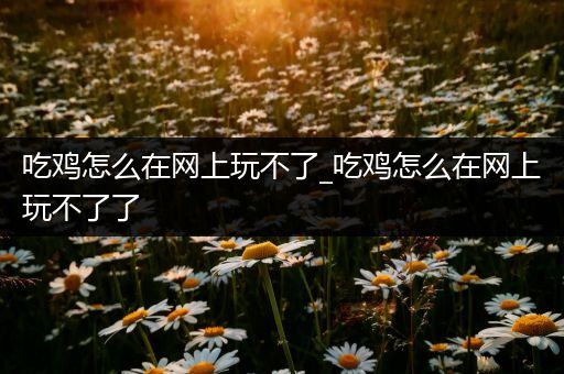 吃鸡怎么在网上玩不了_吃鸡怎么在网上玩不了了