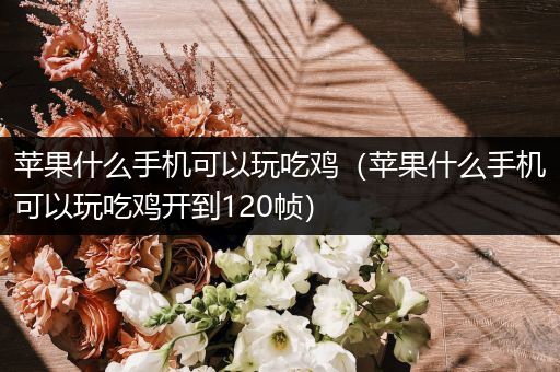 苹果什么手机可以玩吃鸡（苹果什么手机可以玩吃鸡开到120帧）