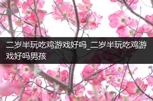二岁半玩吃鸡游戏好吗_二岁半玩吃鸡游戏好吗男孩