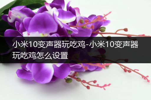 小米10变声器玩吃鸡-小米10变声器玩吃鸡怎么设置