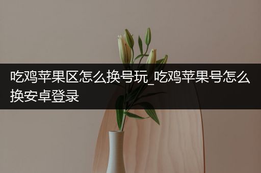 吃鸡苹果区怎么换号玩_吃鸡苹果号怎么换安卓登录