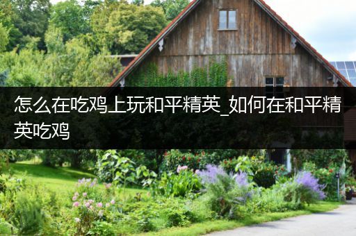 怎么在吃鸡上玩和平精英_如何在和平精英吃鸡