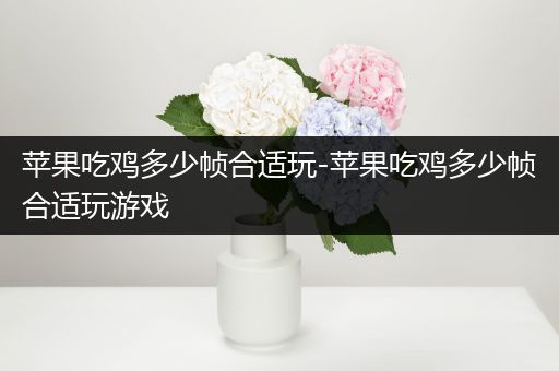 苹果吃鸡多少帧合适玩-苹果吃鸡多少帧合适玩游戏