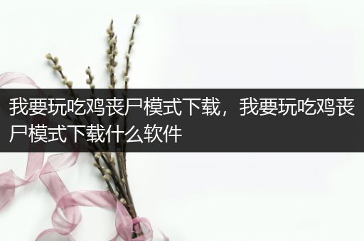我要玩吃鸡丧尸模式下载，我要玩吃鸡丧尸模式下载什么软件