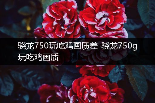 骁龙750玩吃鸡画质差-骁龙750g玩吃鸡画质