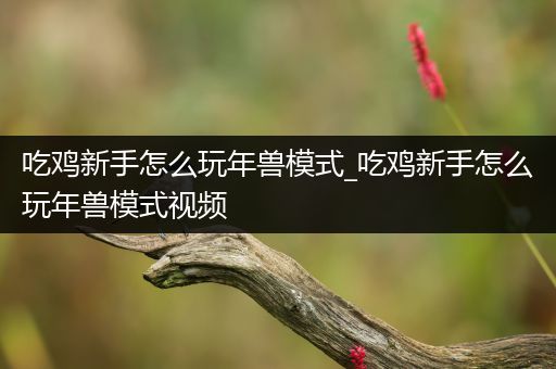 吃鸡新手怎么玩年兽模式_吃鸡新手怎么玩年兽模式视频