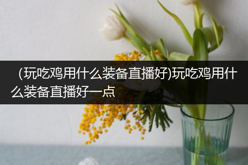 （玩吃鸡用什么装备直播好)玩吃鸡用什么装备直播好一点