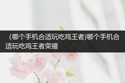 （哪个手机合适玩吃鸡王者)哪个手机合适玩吃鸡王者荣耀