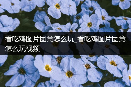 看吃鸡图片团竞怎么玩_看吃鸡图片团竞怎么玩视频