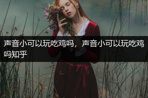 声音小可以玩吃鸡吗，声音小可以玩吃鸡吗知乎