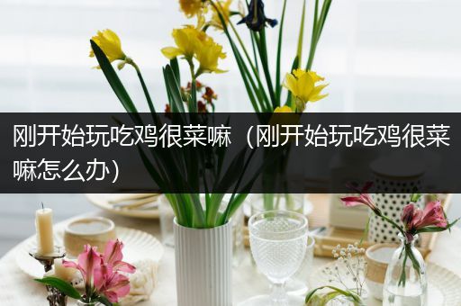 刚开始玩吃鸡很菜嘛（刚开始玩吃鸡很菜嘛怎么办）