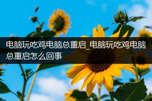 电脑玩吃鸡电脑总重启_电脑玩吃鸡电脑总重启怎么回事