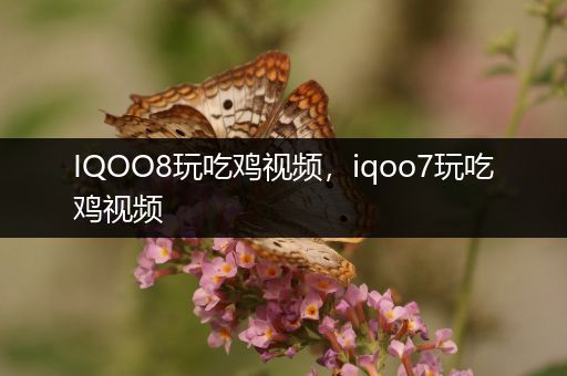 IQOO8玩吃鸡视频，iqoo7玩吃鸡视频