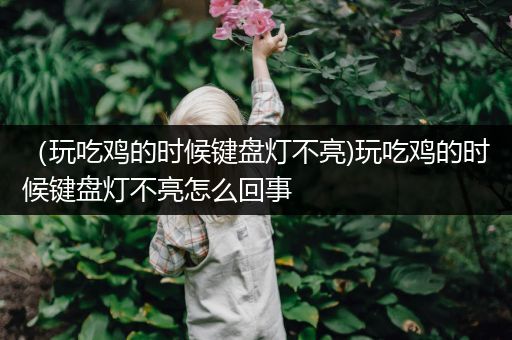 （玩吃鸡的时候键盘灯不亮)玩吃鸡的时候键盘灯不亮怎么回事