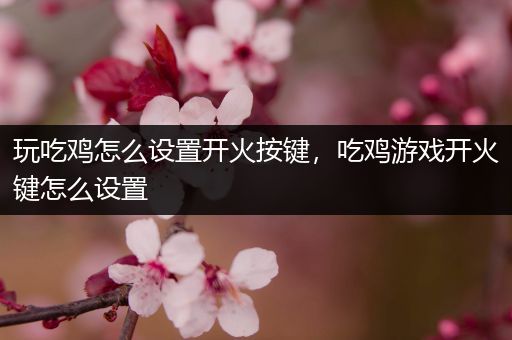 玩吃鸡怎么设置开火按键，吃鸡游戏开火键怎么设置