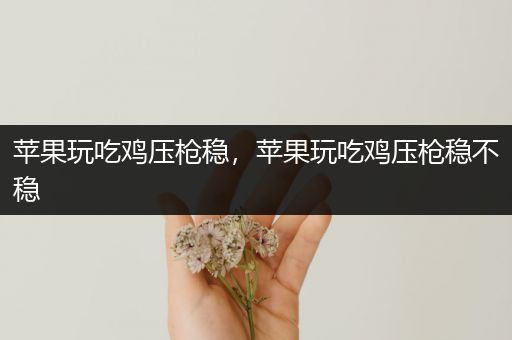 苹果玩吃鸡压枪稳，苹果玩吃鸡压枪稳不稳