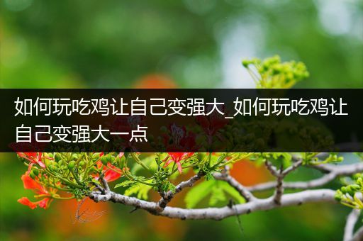 如何玩吃鸡让自己变强大_如何玩吃鸡让自己变强大一点