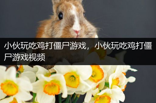 小伙玩吃鸡打僵尸游戏，小伙玩吃鸡打僵尸游戏视频