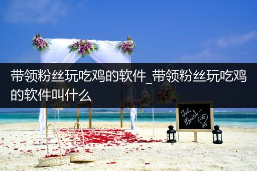 带领粉丝玩吃鸡的软件_带领粉丝玩吃鸡的软件叫什么