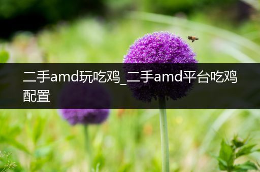二手amd玩吃鸡_二手amd平台吃鸡配置