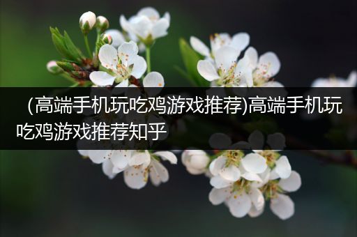 （高端手机玩吃鸡游戏推荐)高端手机玩吃鸡游戏推荐知乎