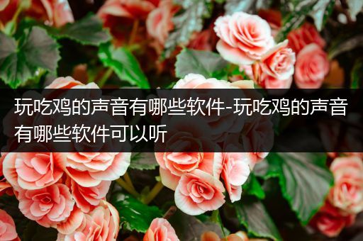 玩吃鸡的声音有哪些软件-玩吃鸡的声音有哪些软件可以听