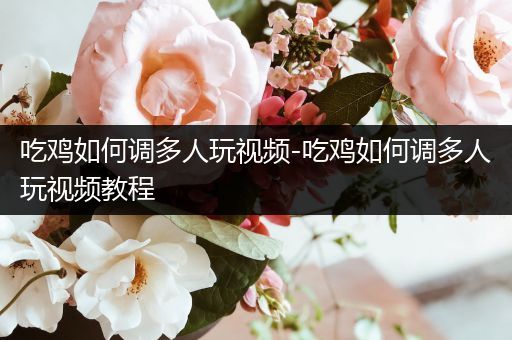 吃鸡如何调多人玩视频-吃鸡如何调多人玩视频教程