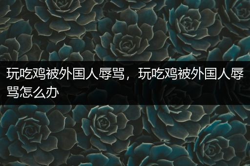 玩吃鸡被外国人辱骂，玩吃鸡被外国人辱骂怎么办