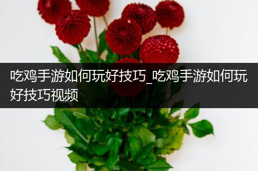 吃鸡手游如何玩好技巧_吃鸡手游如何玩好技巧视频