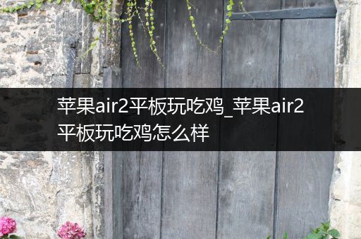 苹果air2平板玩吃鸡_苹果air2平板玩吃鸡怎么样