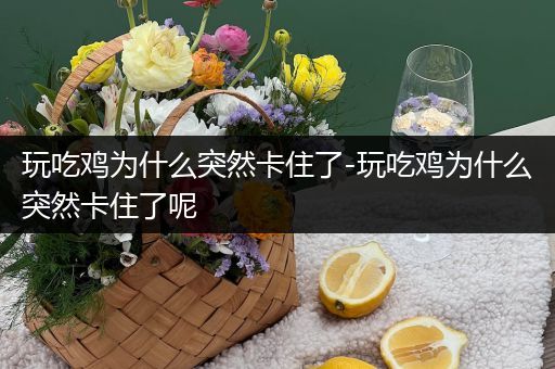 玩吃鸡为什么突然卡住了-玩吃鸡为什么突然卡住了呢