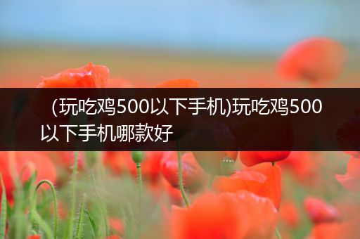 （玩吃鸡500以下手机)玩吃鸡500以下手机哪款好