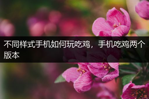 不同样式手机如何玩吃鸡，手机吃鸡两个版本
