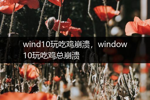 wind10玩吃鸡崩溃，window10玩吃鸡总崩溃