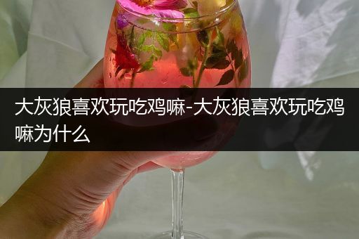 大灰狼喜欢玩吃鸡嘛-大灰狼喜欢玩吃鸡嘛为什么