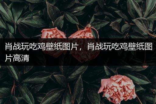 肖战玩吃鸡壁纸图片，肖战玩吃鸡壁纸图片高清